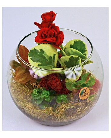 Fresh Sprout Terrarium