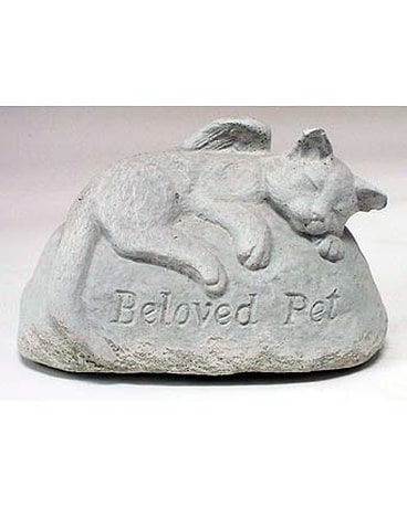 Beloved Pet - Cat