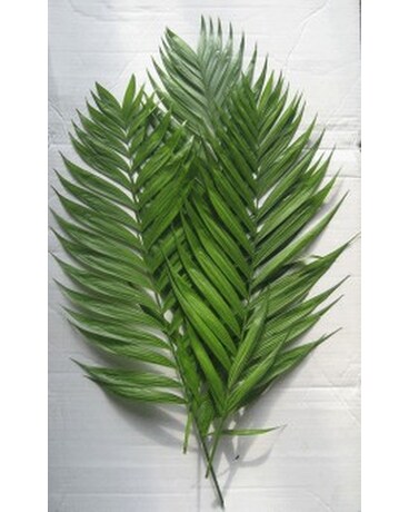 Emerald Palm