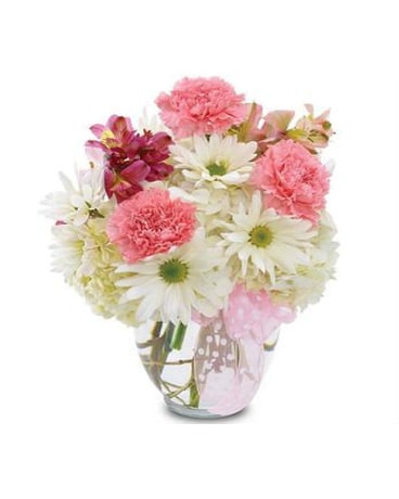 Baby Girl Blossoms