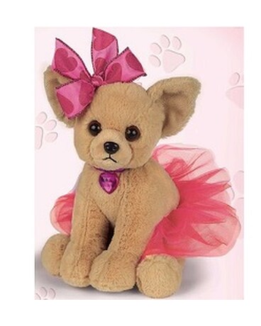 ChiChi Chihuahua