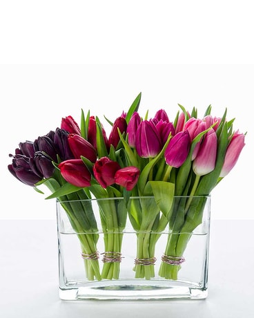 Tulips' Kiss Flower Arrangement