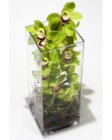 Orchid Tower Flower Arrangement