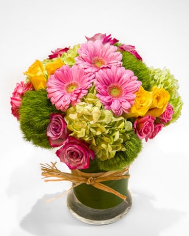 Fashions in Bloom