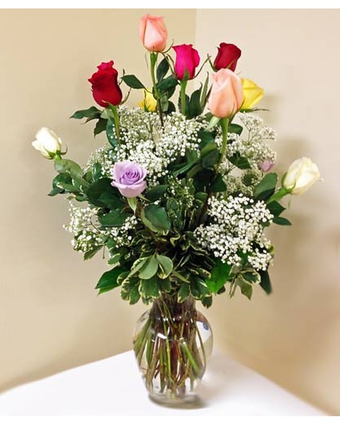 Dozen Mixed Color Roses in Naples FL - Gene's 5th Ave Florist