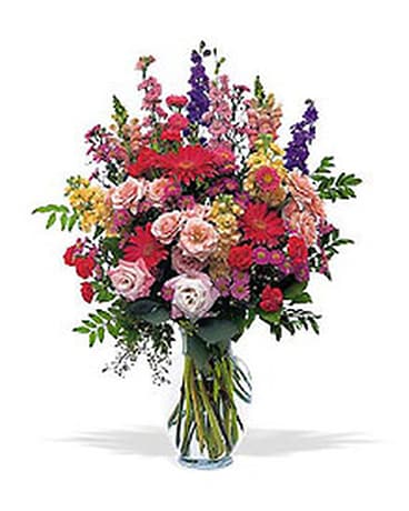 Flowers For 6 Months