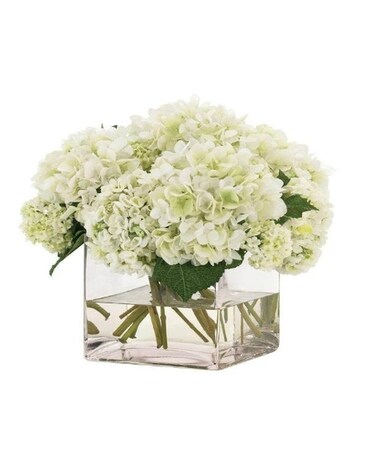 Hydrangeas Cubed