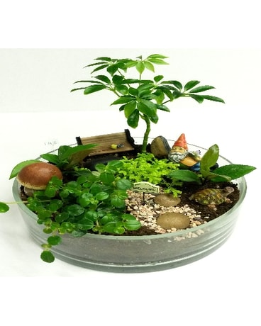 Miniture Gnome Garden