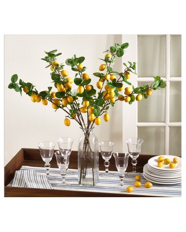 Lemon Branch