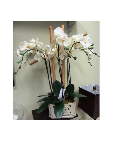 Faux Orchids with Bamboo