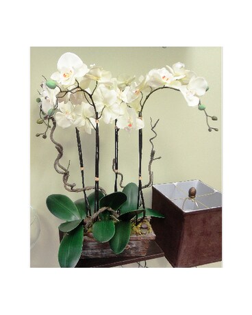Faux Orchids and Branches