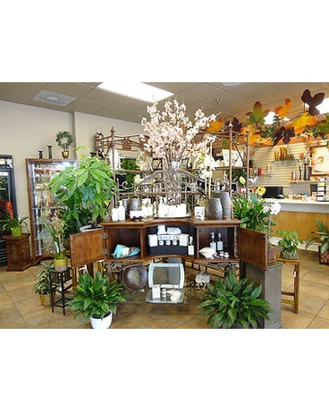Tour the Shop