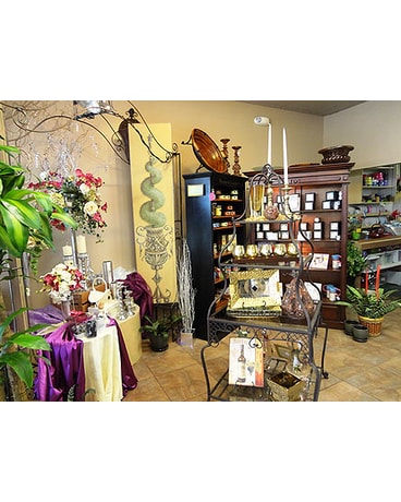 Tour the Shop