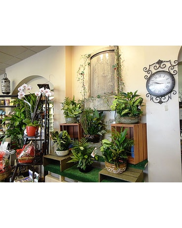 Tour the Shop