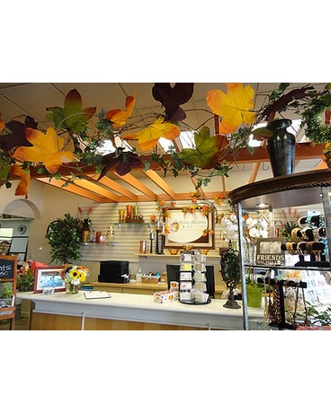 Tour the Shop