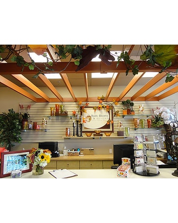 Tour the Shop