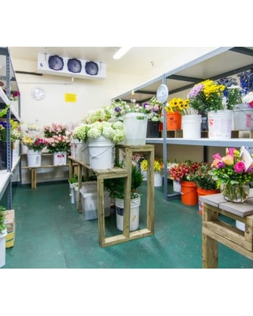 walk in flower cooler