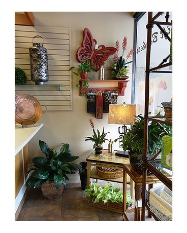 Tour the Shop