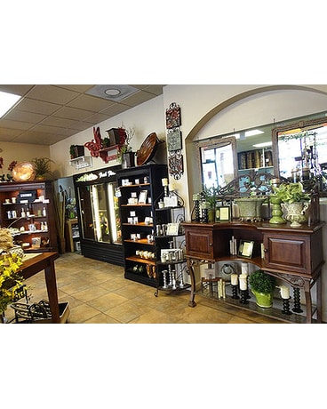 Tour the Shop