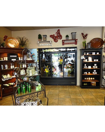 Tour the Shop