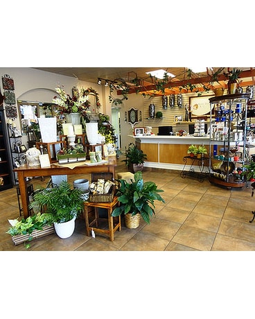 Tour the Shop