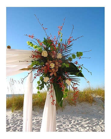 Wedding Ceremony