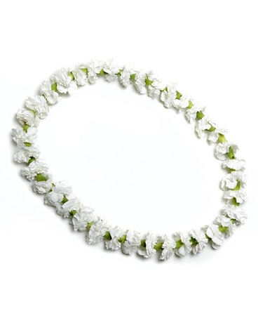 Single Carnation Lei