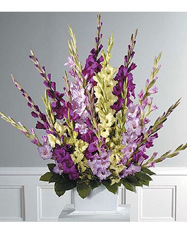 TRADITIONAL GLADIOLUS FAN SPRAY
