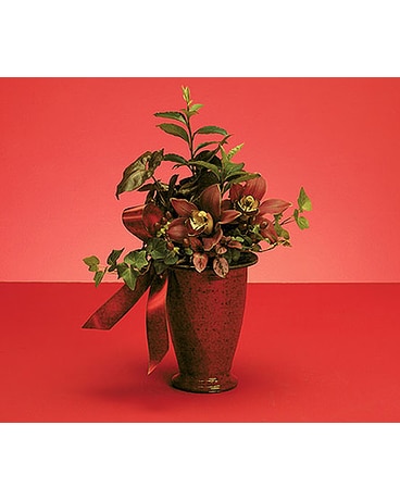 RED-TONED DISH GARDEN