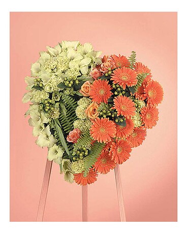 ORANGE GERBERA DAISY & GREEN VIBURNUM HEART