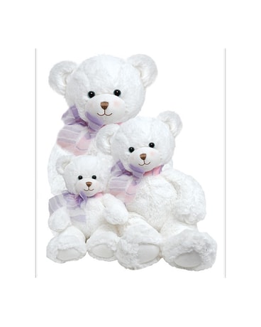 Dena the Bear