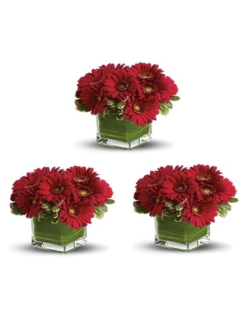 Gerber Cube Event Bouquets