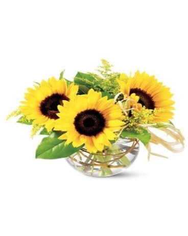Summer Sunflower Special