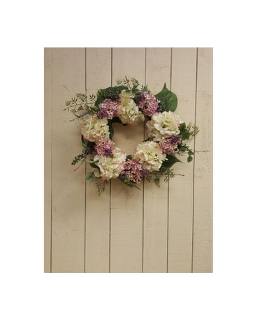 Pink and White Hydrangea