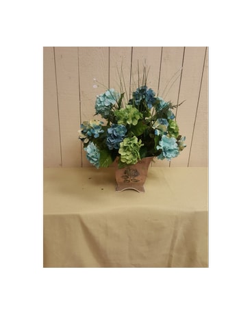 Hydrangea Blooms