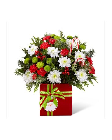 Holiday Cheer
