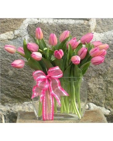 Modern Tulips, Lavender/Pink