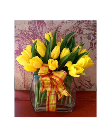 Modern Fall Tulips