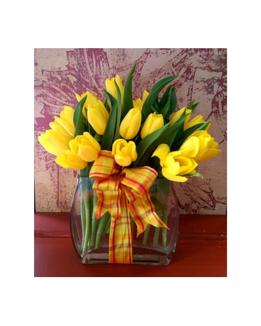 Modern Fall Tulips