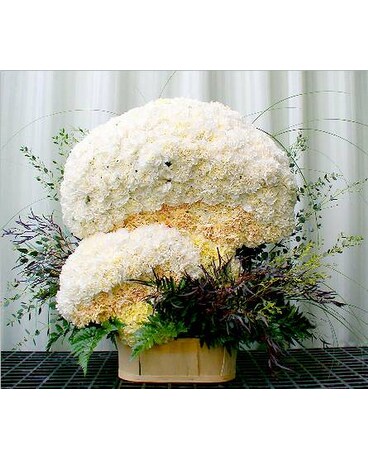Mushroom Basket
