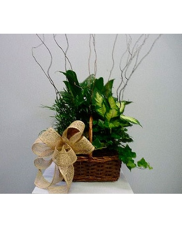 Medium European Basket with Sticks Flower Arrangement