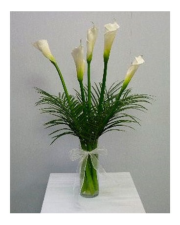 Cala Lilies in Cylinder Vase