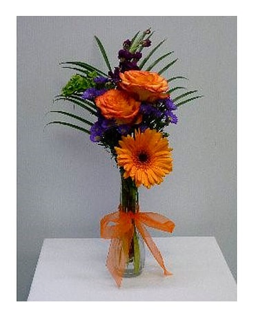 As Shown size,  inches height and  inches wide.
