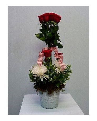 Rose Topiary in Tin