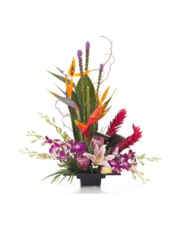 Buds and Blooms Tropical Treasure