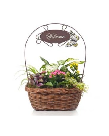 Buds and Blooms Welcome Assortment Planter