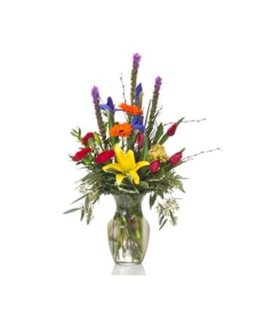 Buds and Blooms Colorful Celebration