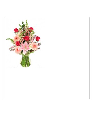Romance Spring Suprise