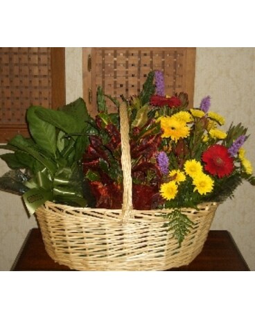 Plant Basket w/Fresh Flowers