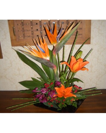 Sympathy Top-Hat Arrangement